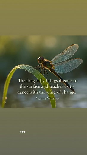 🌿 Tuesday Reflections: The Dance of Dragonflies 🌿While butterflies often steal the spotlight with their delicate wings and colorful patterns, dragonflies carry their own quiet kind of magic.🧚‍♀️ Dragonflies symbolize transformation, adaptability, and the deeper layers of emotion and truth. With eyes that see nearly 360°, they remind us there’s always more to the story—if we’re willing to look beyond the surface.Unlike butterflies who float, dragonflies dart with purpose, hover with intention,