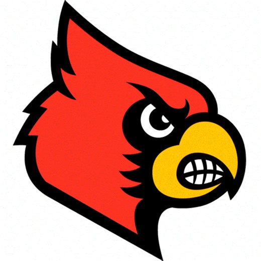 Basketball Game Preview: Martin County Cardinals vs. Betsy Layne Bobcats