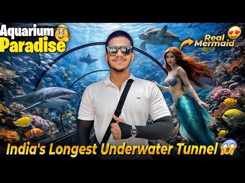 India's Longest Underwater Tunnel in Bengaluru | Aquarium Paradise