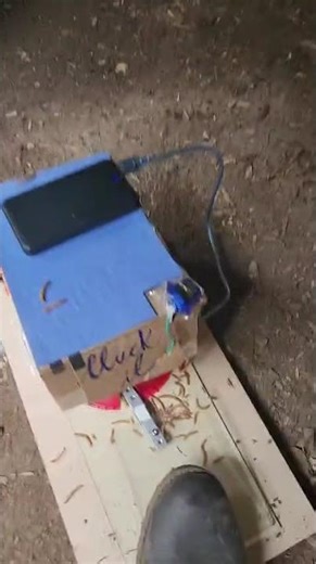 CluckIt! Usability Testing