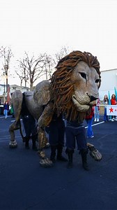 Engineering and artistry meet! It's time for our puppet Aslan in #TheChroniclesofNarnia: #TheHorseandHisBoy to get some internal upgrades! Just four more performances at Ark Encounter! Tickets: www.arkencounter.com/narnia #TheLogosTheatre #NarniaOnTour #AslanisontheMove | The Logos Theatre