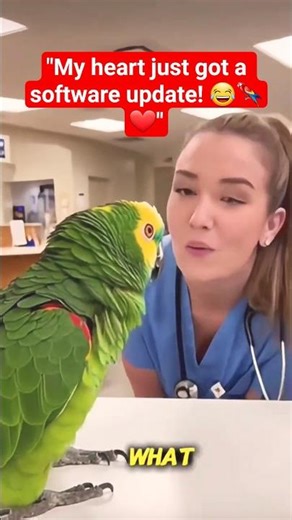 Parrot’s New Heart Software Update! 😂🦜 | Funny Talking Parrot #shorts