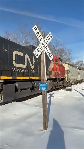 CN DUO in the snow on the NS Loveridge Secondary #train #railway #railroad #trending #ns #snow