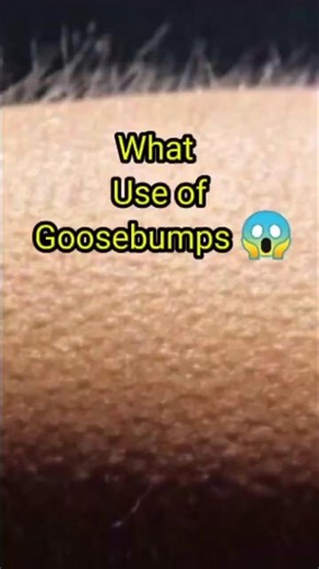 what use of goosebumps #facts #shorts #viral #trending #chatgpt #smartphone #didyouknow