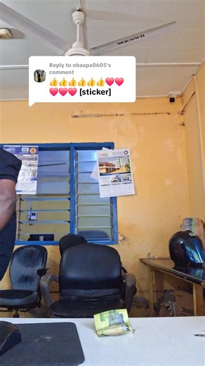 My Favorite Things That Bring Joy