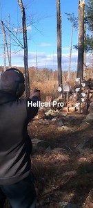 Springfield Armory Hellcat Pro vs. Dueling Tree #shorts #shortsvideo