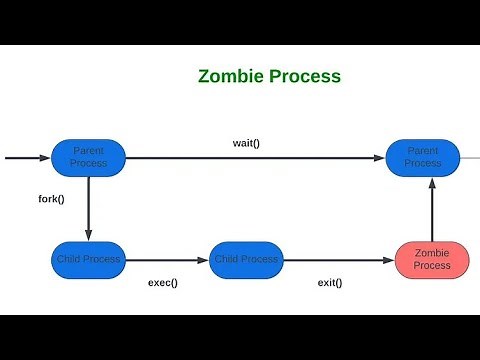 Orphan Process And Zombie Process In Operating System