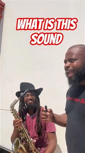 #sound #mystery #shorts What Is This Sound | Unexpected Noise Explained #viral