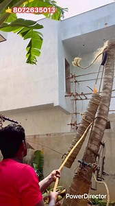 217 reactions | sabarinathan tree cutter services pattukkottai8072635013 | Sabariraja M | Facebook