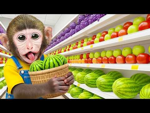 Monkey MoMo and Baby Monkey Discover a Giant Watermelon Vending Machine 🍉🐒 | MoMo Monkey Life