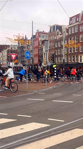 Amsterdam is known to have more bikes than inhabitants ❌❌❌ #amsterdam #bicycle #bike #cycling #amsterdamcity #busy #autumn #relatablecontent #weather | Amsterdam Love