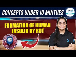 Understanding the Formation of Human Insulin by RDT | Quick Revision | NEET 2025