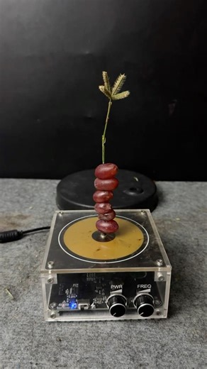 Tesla coil + 6Grape + Plants #LightningE #TeslaCoil #HighVoltage #ViralShorts