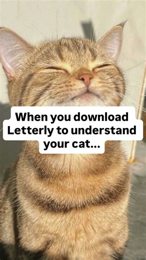 Well, it can’t transcribe meows — but it CAN recognize multiple human voices and turn your conversations into clean, structured notes. Perfect for meetings, study sessions, interviews or those chaotic voice memos you never replay. Try it out for free on the App Store or Google Play. #letterly #notetakingapp #voicenotes #productivityapps #aipowered #studytools #creators | Letterly | Facebook