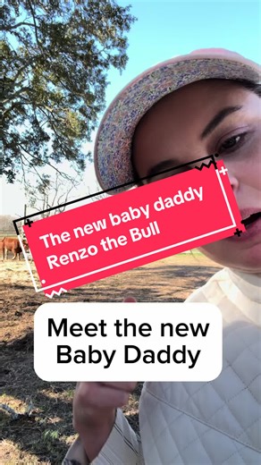Meet Renzo: The New Baby Daddy Bull on the Farm