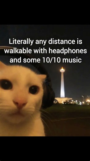 Life could be a dream🥹(acapella) #memesdaily #memes #funny #newmemes #latestmeme #memeoftheweek