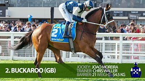 2024 Melbourne Cup Field - complete guide - jockeys, trainers, tips, odds and form