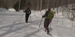 Wildlife Watch: A look at Vermont’s newest Wildlife Management Area