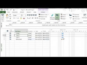 Microsoft Project - Milestones
