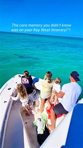 Your Island Charter Key West on Instagram: "Everyone plans for Duval Street, but the Key West backcountry is where the magic actually happens. 🌊⚓️ Watching a wild pod of dolphins from your own private boat charter isn’t just a tour—it’s a core memory for the whole family. 🥹🐬 We specialize in high-end, private Key West snorkeling and dolphin watching trips. Skip the crowds and see the Keys the way the locals do. 🏝️ 📍 Booking link in bio or call 920-517-8435 for availability! . #keywestdolphi