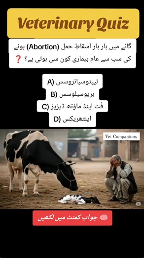 Veterinary Quiz.. Follow Vet Companions on TikTok Link 👇 https://www.tiktok.com/@vet.companions?_t=ZN-8y65u8yBywo&_r=1 Follow Vet Companions on YouTube Link 👇 https://youtube.com/@vetcompanions?si=J-F6qyWK1DGe_1NC Follow on Instagram Link 👇 https://www.instagram.com/vet.companions?igsh=MTZzajBsc283ZXJrbw== #vetcompanions #dairyfarming #dairyfarm #animalcare | Vet Companions