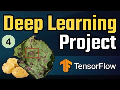 Deep learning project end to end | Potato Disease Classification - 4 : FastAPI/tf serving Backend