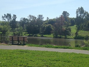 Remember These Hills? Milpitas Photo of the Week