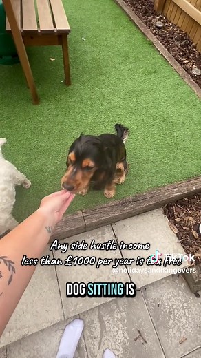 Tips for Affordable 5-Star All-Inclusive Holidays