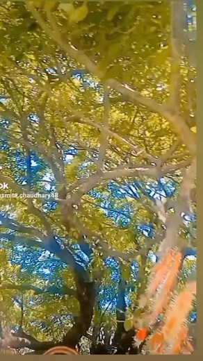 Susmita Chy (@susmita.chy47)’s videos with original sound - Susmita Chy