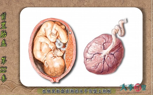 【前置胎盘对孕妇的影响】第22集-生殖系统-3D人体解剖微课 什么是胎盘？什么是前置胎盘？进来了解了解吧！