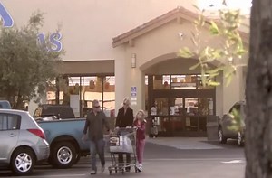 The majestic plastic bag.