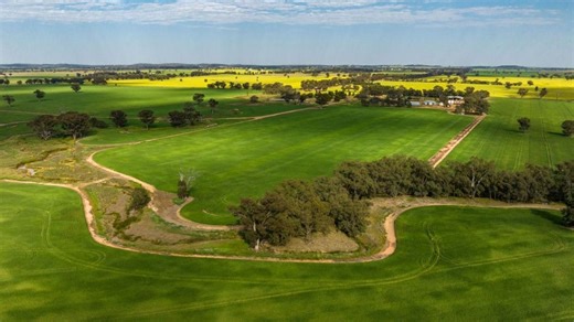 Local buyers purchase two NSW Riverina farms