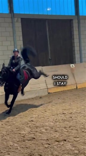 Should I Stay or Should I Go? A Star Stable Debate