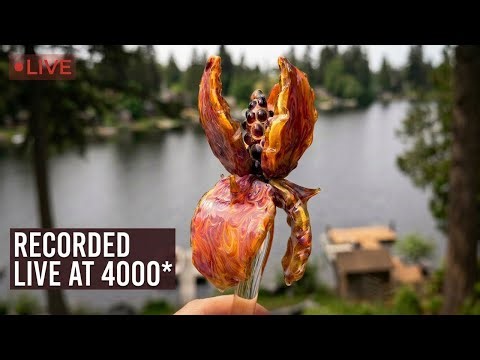 Why This Glass Iris is One of the Most Difficult Pieces I Make