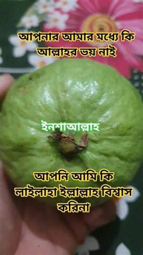 আমরা হযরত মুহাম্মদ সাল্লাল্লাহু আলাই সালাম এর উম্মত আমরা কখনো কারো দাসত্ব করব না ইনশাআল্লাহ 🤲🤲🕋🕋🕌🕌