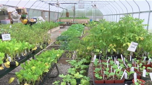 'GROW' local: end-of-summer gardening programs offered