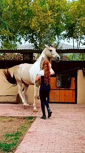 Dance baby | Angle charlotte