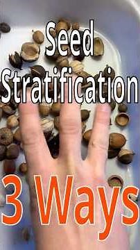 How to Cold Stratify Seeds
