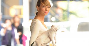 Important! We Found Taylor Swift's Cat Backpack On Amazon