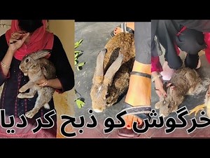 Woman Butcher Slaughters Rabbit Perfectly | Real Village Life | Lady butcher vlog