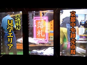 95周年･京都市中央卸売市場｜水産棟･見学エリア 4月1日 オープン
