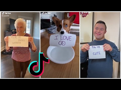 TikTok: The Best Wet Paper Towel Challenge💦