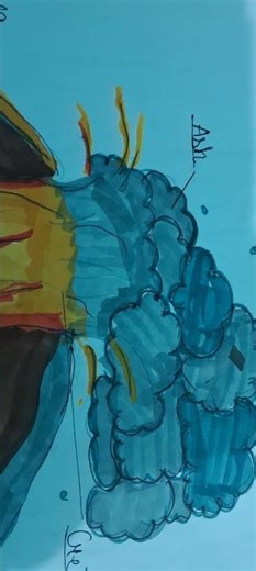 class 5 A volcano project