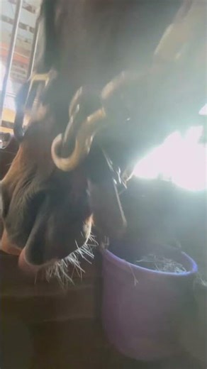 Get un-ready with me - Part 2