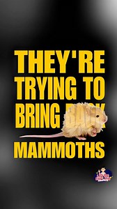 Woolly Mouse: A step in bringing back the extinct Woolly Mammoth 😱 #LetMeExplainSomething | Raymor Cuevas