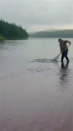 Want to go Salmon fishing in Quebec? It’s the adventure of a lifetime!