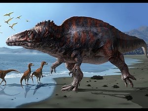高棘龙VS埃德蒙顿甲龙｜Acrocanthosaurus VS Ankylosauridae