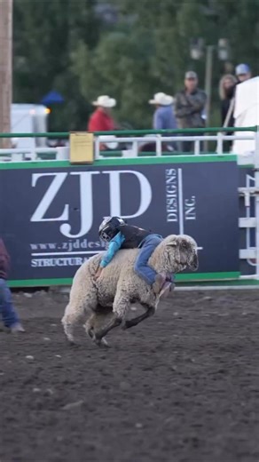 Best event in rodeo. Change our minds 🫡 | Wrangler Western