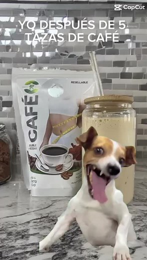 Café Ganoderma de FR Bienestar Natural con sus sabores unicos capuccino , coco y ahora café black , con Ganoderma con excelente calidad premium al igual que sus demás ingredientes naturales. El balance perfecto entre el buen gusto y una fuerte vitalidad, todo en una sola taza de café ☕️ 😉 #cafe #ganoderma #bajardepesonatural