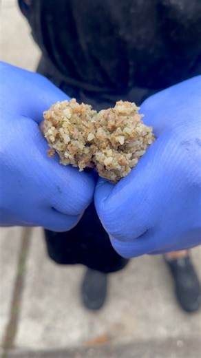 Yall love or hate our wild boudins so we figured we would show you our standard ole house boudin….. pork base with a more traditional boudin ingredients…. #tcbmeats #thechoppingblock #edna #cuero #goliad #inez #victoriatx #victoria #texas #meatmarket #meatdealer #butcher #brisket #OnlyBrisket #beeflovingtexans #texasbeefcouncil #wagyu #texaswagyu #bbq #barbecue #brisket #ribs #texasbbq #barbeque #beef #onlybrisket | The Chopping Block Victoria